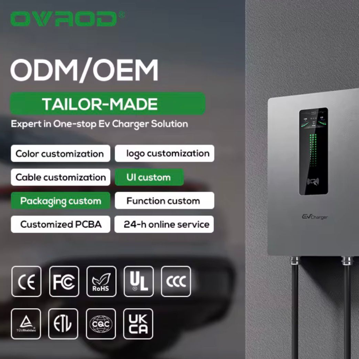 DC Charger 30kw CCS2 Fixed